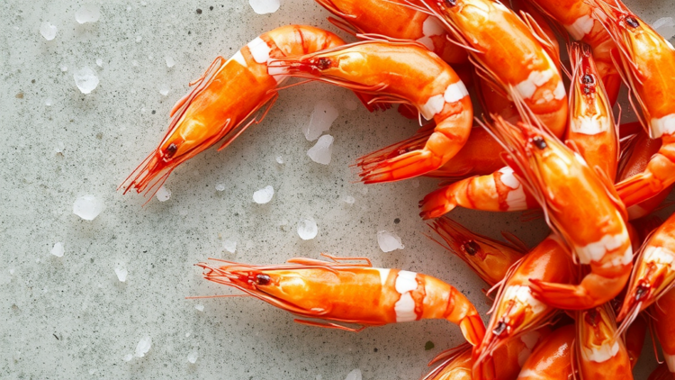 Saltier Water Shields Estuarine Shrimp From Deadly Copper Pollution, Study Finds