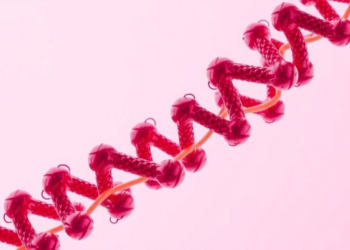 Locked and Loaded: Structural Studies Reveal How the SCREW Peptide Engages Its NUT Receptor