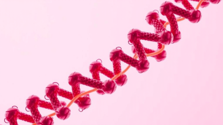 Locked and Loaded: Structural Studies Reveal How the SCREW Peptide Engages Its NUT Receptor