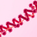 Locked and Loaded: Structural Studies Reveal How the SCREW Peptide Engages Its NUT Receptor