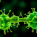 Staphylococcal Protein Reprograms Liver Tumor Macrophages to Boost Immunotherapy