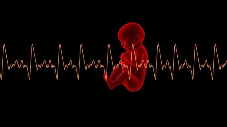 AI Listens to the Womb: Deep Learning Model Predicts Preterm Birth from Uterine Electrical Signals