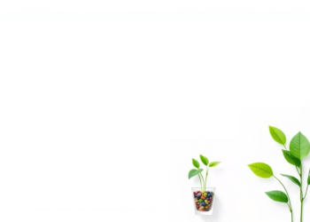 Why Indian Consumers Go Green: Satisfaction Drives Green Banking Adoption, Study Finds