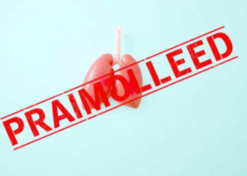 Systematic Review Linking Air Pollutants to Liver Function Retracted Over Overlap and Citation Concerns