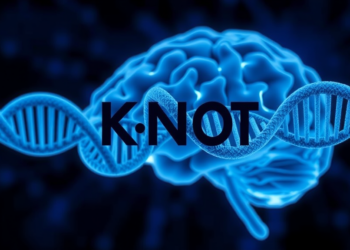 KNOT: A Knockoff-Powered Neural Network Hunts Hidden Autism Risk Genes