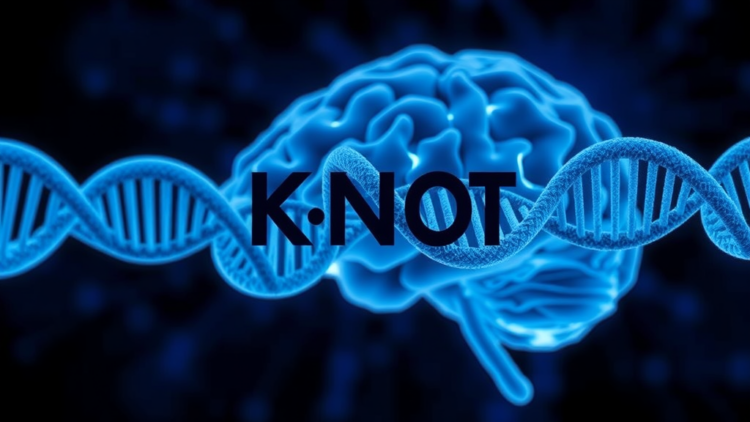 KNOT: A Knockoff-Powered Neural Network Hunts Hidden Autism Risk Genes