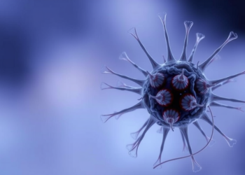 Aging Cells Ratchet Up a Gene Called EYA4, and Silencing It Delays Senescence