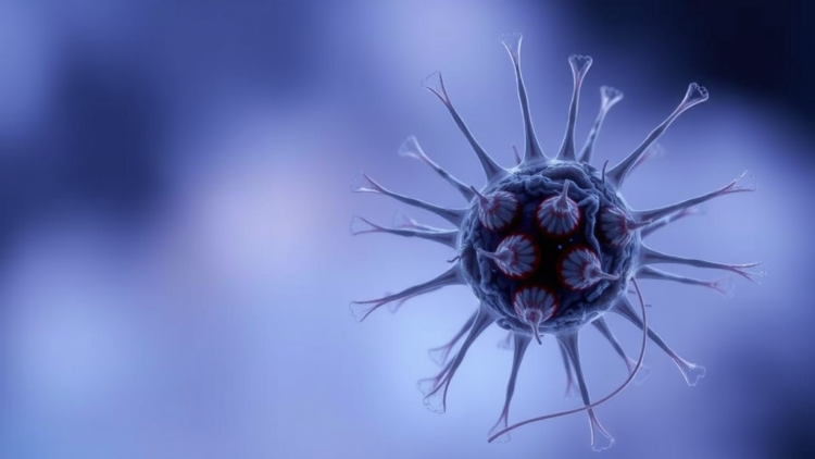 Aging Cells Ratchet Up a Gene Called EYA4, and Silencing It Delays Senescence