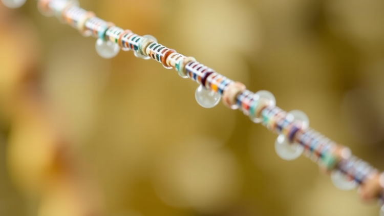 New DNA Sequencing Tool Reads Broken Genetic Clues to Name Species in Mixed and Degraded Samples