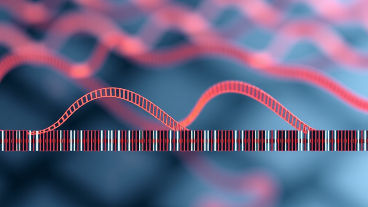 Nanopore Pipeline Delivers Sanger-Level Accuracy for Detecting Kidney Disease Gene Variants