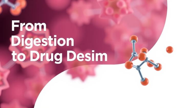 From Digestion to Drug Design: Bile Acids Emerge as a Powerful Therapeutic Platform