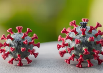 Reporter-Tagged Getah Virus Clones Reveal a Winning Design for Studying a Rising Mosquito-Borne Threat