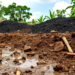 Coal Mining Leaves a Trace-Element Fingerprint in Tropical Soils, Study Finds