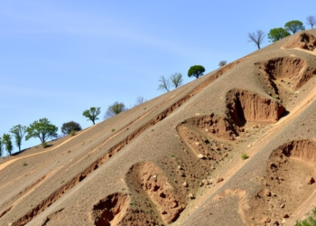 Steel Pins and Shorter Geogrids Offer a New Way to Stop Landslides on Unstable Slopes