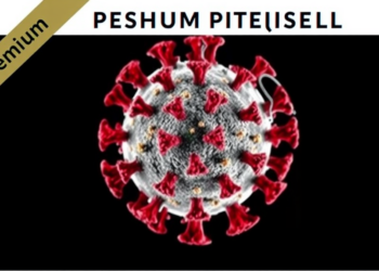 Virtual Screening Uncovers Promising Non-Covalent Inhibitors of Human Rhinovirus 3C Protease