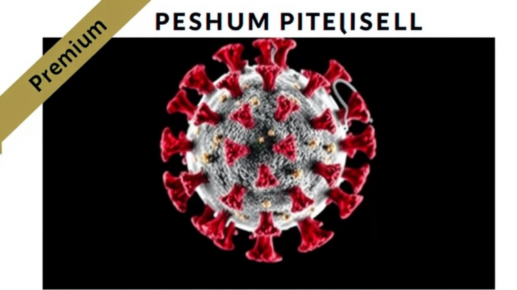 Virtual Screening Uncovers Promising Non-Covalent Inhibitors of Human Rhinovirus 3C Protease