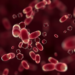Blood Test Reading Tumor Methylation Patterns Outperforms CEA in Real-World Colorectal Cancer Detection