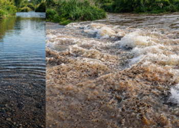 Floods Redistribute Toxic Metals in River Sediments by Moving Fine Particles