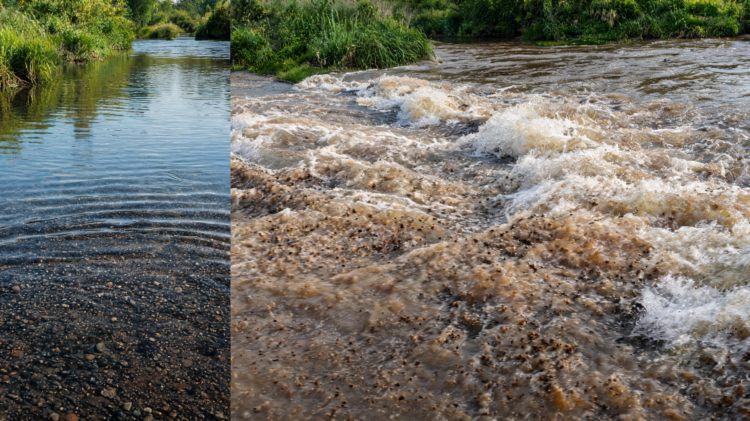 Floods Redistribute Toxic Metals in River Sediments by Moving Fine Particles