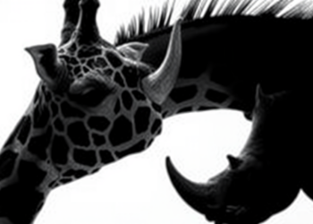 Giraffe and Rhino Blood Chemistry Revealed in Landmark NMR Metabolomics Study