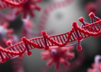 RSV Genomes Reveal Viral Diversification in Lombardy After Nirsevimab Rollout