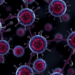 Aging Immune Cells May Undermine a Promising Cancer Therapy, Review Warns