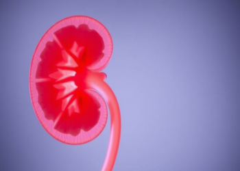 Lab-Grown Kidney Tissue Wins $240,000 Boost in Fight Against Rare Genetic Disease