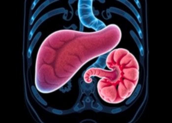 Shrinking Pancreas on Scans May Signal Earliest Stage of Deadly Cancer