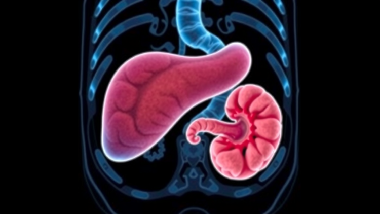 Shrinking Pancreas on Scans May Signal Earliest Stage of Deadly Cancer