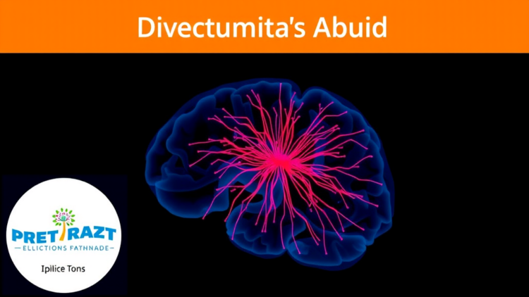 Deep Learning Tool DeNAT Automates Neurite Growth Measurement After Spinal Cord Injury