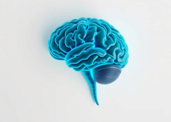 Higher Body Weight Linked to Lower Brain Cell Health Marker, Meta-Analysis Finds