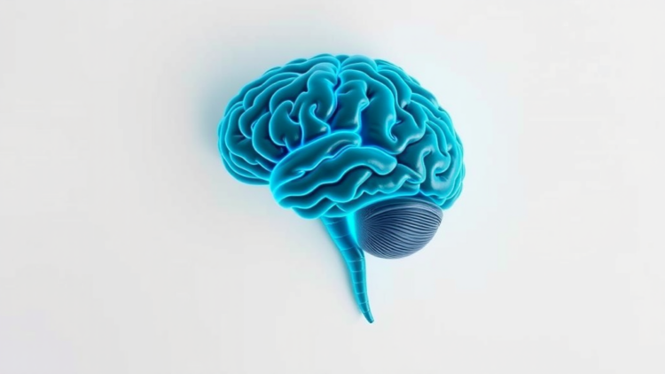 Higher Body Weight Linked to Lower Brain Cell Health Marker, Meta-Analysis Finds