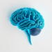 Higher Body Weight Linked to Lower Brain Cell Health Marker, Meta-Analysis Finds