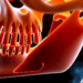 Hidden RNA Switch Protects Jaw Cartilage From Osteoarthritis Damage