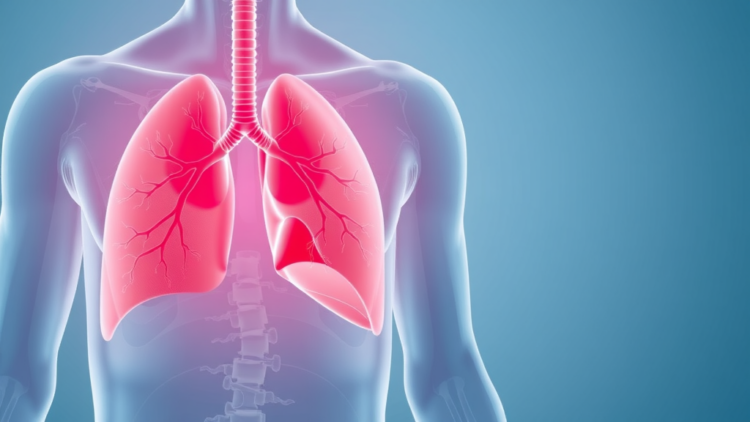 Silencing SCAMP3 Eases Hypoxic Pulmonary Hypertension by Engaging the Ubiquitin Ligase WWP1