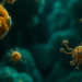 From Holobionts to the Self: How the Environment Shapes Personal Identity