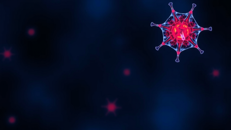 Tilfrinib Blocks PTK6 to Curb Ovarian Cancer Cell Growth and Spread