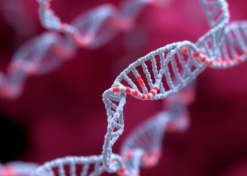 Tiny DNA Insert in a Super-Enhancer Fine-Tunes Two Cancer Genes in Breast Tumors