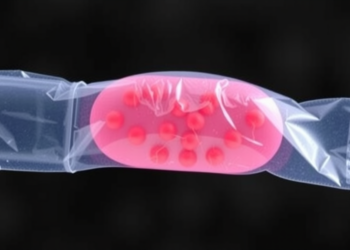 Metal-Organic Framework Nanoparticles Turn Biopolymer Hydrogel into Antibacterial Wound Dressing