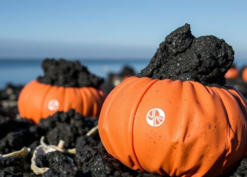 Volcanic Rock Buoys Could End Microplastic Pollution in Oyster Farms