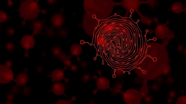Metabolite Fingerprint in Seminal Plasma Could Explain Hidden Male Infertility