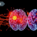 Silent Signals: How Stroke Rewires Brain Astrocytes to Accelerate Glioma Growth