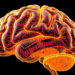Spatial Hi-C Maps 3D Genome Folding Directly Inside Brain Tissue
