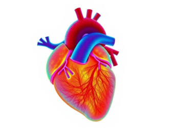 Two Molecular Heart Failure Types Revealed by Deep Protein Maps of the Failing Heart