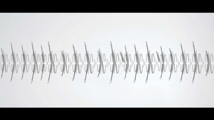 Transposon tool maps the essential genes of diverse phages