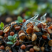 From Farm Waste to Factory Catalysts: The Rise of Sustainable Biocatalysis