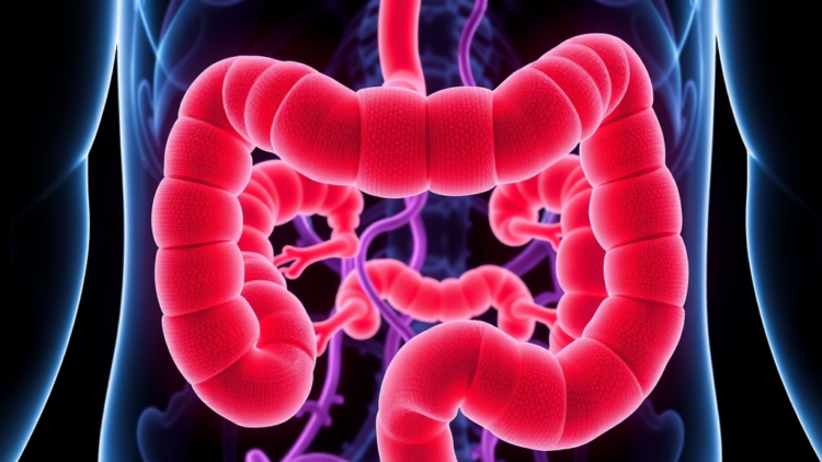 Scientists Uncover Hidden Feedback Loop That Drives Colon Cancer Spread