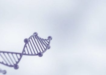 Tiny miRNA Molecule Emerges as Potential Driver of Early Ovarian Failure Linked to Plastics Chemical