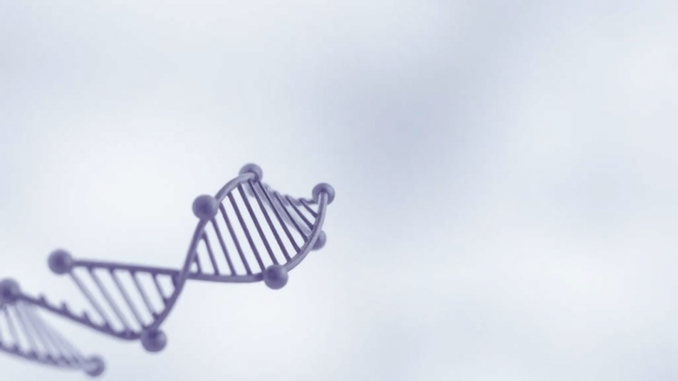 Tiny miRNA Molecule Emerges as Potential Driver of Early Ovarian Failure Linked to Plastics Chemical