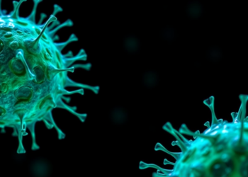 Two Proteins Found on Nearly All Liver Cancer Cells Point to a Dual-Target CAR-T Strategy